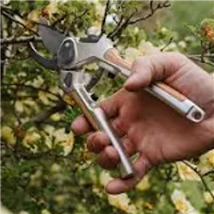 K&S Eversharp BypassSecateur